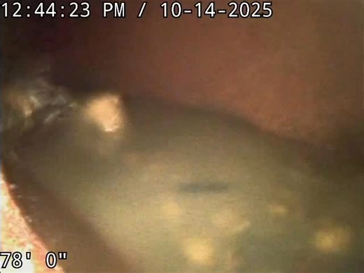 Out with the old, in with the trenchless! Here’s a look at our newly installed trenchless sewer line — no major digging, no yard damage, and a smooth flow restored. The future of sewer repair is clean, quick, and efficient! 📞 Need expert sewer inspection or repair? Call IG Sewer & Drain at 973-600-8203 today! #igseweranddrain #draincleaning #drainexperts #seweranddraincleaningservices #seweranddraincleaning #trenchlesssewerrepair #trenchlesstechnology #newjersey #midlandparknj #hawthorne | IG S