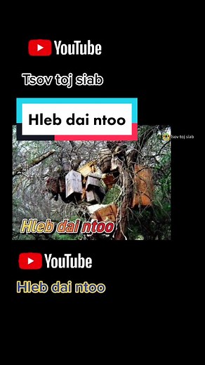 Exploring Wooden Beehives in a Forest Setting