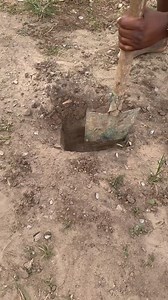 the magic purse | Sarah Grace