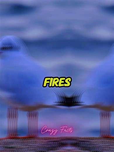 Facts Thats Ruins Your World #facts #funnyfacts