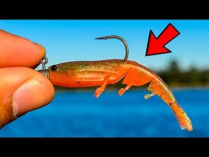 Are these the BEST Prawn lures?