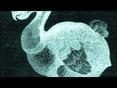 Aimee Mann - Red Vines