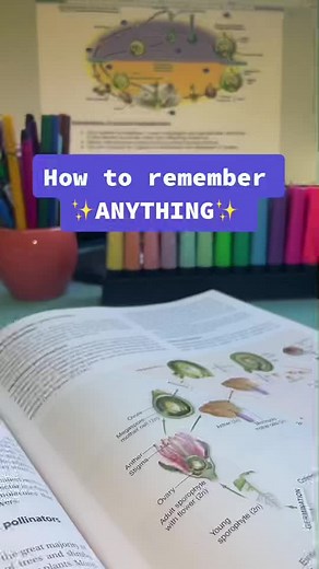 It’s works so well for me in high school and university #studytips #finals #exam #school #university