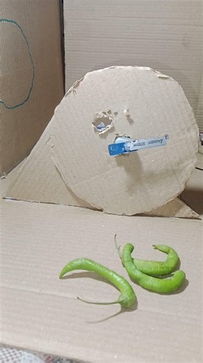 मची कटिंग बनाया 🌶️🌶️ न्यू पार्जेक्ट वायरल • new project dc Motor