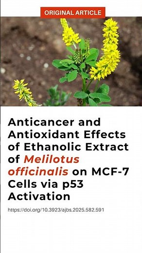 Melilotus officinalis Extract vs MCF-7 Breast Cancer Cells