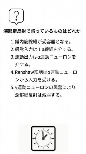 深部腱反射とは？① #理学療法士 #理学療法士国家試験