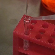 Video: A Tetracycline-regulated Cell Line Produces High-titer Lentiviral Vectors that Specifically Target Dendritic Cells