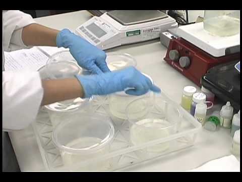 Plant Tissue Culture Media Preparation