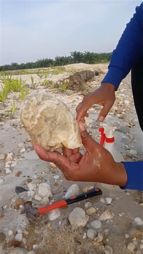 Amazing 😱, found a unique agate stone while digging for rocks in the river! #stone #rock #crystals
