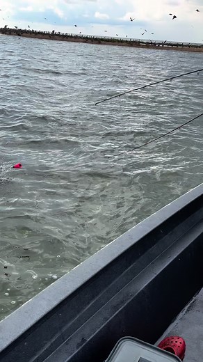 #speckledtrout #fishing #sportsman #redfishing #fishinglife #Louisiana #gettingitin | Matt Retif