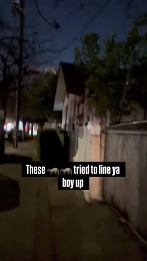 LA RACCOONS 🦝 🦝 TRIED TO JACK ME!!!