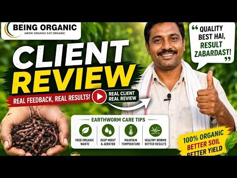 Client Review | earthworms 