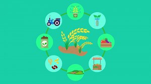 Essence of Agriculture Animation. Suitable for agriculture, food security and nature content. 2d animation 4k. Transparent Background.