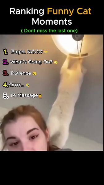 Ranking Funny Cat Moments 😹🏆 | You Won’t Stop Laughing!