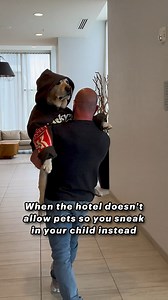 41M views · 905K reactions | Well, he IS my son… (Disclaimer… Magnus is my task trained service dog and is allowed in the hotel. ❤️) #relatable #labrador #dog #dogsofinstagram #dogdad #doglife #funnydog #doglover #goodboy | Magnus The Therapy Dog | Facebook