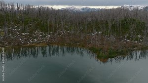 Aerial Tilt Up View Of Cordón Caulle volcanic complex Covered With dead Forest Tree Landscape. Dolly Forward