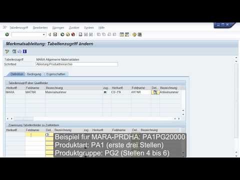 2. SAP CO-PA , Merkmalsableitung