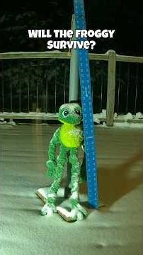 Snowstorm timelapse #outdoors #short #snow #blizzard #snowmageddon #timelapse #spring