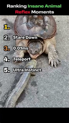 Ranking Insane Animal Reflex Moments