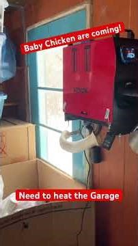 Heating the Garage with a Diesel Heater. #Vevor #diesel #heat #chicks #garage #cheap
