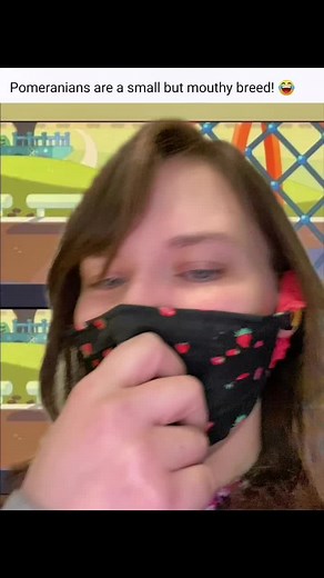 Hilarious Bluey Memes for Kids That Will Make You LOL