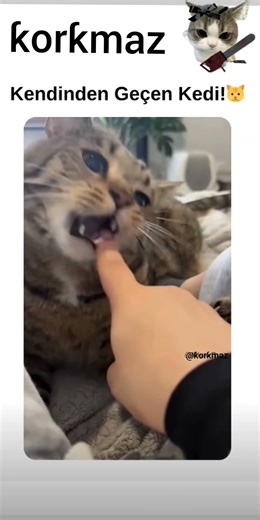 NuM nUm NuM nUm💥シ