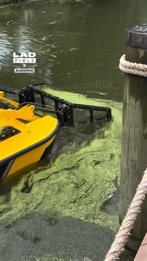 It's such a thick layer 😲 | LADbible