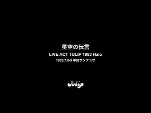 TULIP 星空の伝言 LIVE ACT TULIP 1983 Halo