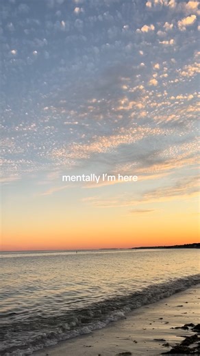 What The Shell! on Instagram: "craving a july beach day 🇺🇸🐚 #capecod#capecodsummer#coastaltown"