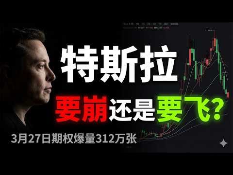 机构押注TSLA暴涨还是崩盘？#特斯拉 #TSLA #期权分析#期权交易#股票分析#美股投资#AI概念股#特斯拉股价#ElonMusk#量化交易#技术分析#期权数据#投资策略#美股行情