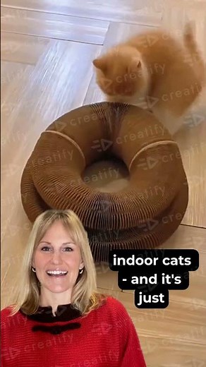 Durable Cat Scratching Board Toy, Interactive Cardboard Scratcher,