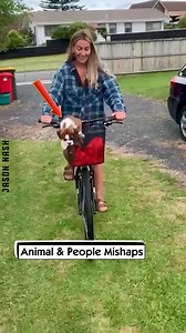 Animal & People Mishaps | Jason Nash
