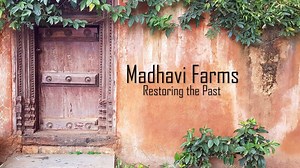 Madhavi Farms in Bangalore, India have a magnificient one-acre Aquaponics Farm, but there's more to it that that! Take a tour through the rest of their farm and see what else they have! | Aquaponics Design Course