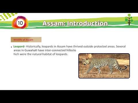 Assam Introduction || Chapter 10 || Verticals-6 || Class-6