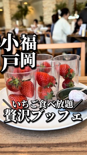 📍【福岡】贅沢すぎる“いちご食べ放題”ブッフェ ￣￣￣￣￣￣￣￣￣￣￣￣￣￣￣￣￣￣￣￣￣￣ いちご好き歓喜の季節が今年もやってきた。 1月16日スタートの大人気いちごブッフェ。 ⁡ 今回のいちごは 佐賀県産「さがほのか」 甘くて無限に食べられるやつ🤤 ⁡ いちごも料理も全部食べ放題。 ⁡ ショートケーキ、苺大福、タルト… いちご天国すぎる。 ⁡ さらにライブキッチンでは 目の前で焼き上げるステーキまで食べ放題！ ⁡ 料理は約60種類。 糸島食材を使った旬メニューが日替わりで並ぶから、何回行っても楽しい。 ⁡ そして何より、 ブッフェ会場の目の前はヨットハーバー。 リゾート気分を味わえる。 ⁡ いちごブッフェは 4月30日までの期間限定。 行かなきゃ損！ ⁡ ――――――――――――― ライブコーナー ・国産ポークの鉄板焼き ・大きなチーズで絡める名物シーザーサラダ ⁡ ホット料理 グラタン / バスク風ポーク / 塩レモンソテー / チキンソテー / オムライス / 唐揚げ / カレー / パスタ / 豚汁 or 鰤の粕汁 ほか ⁡ コールド料理 いちご×モッツァレラ / キッシ