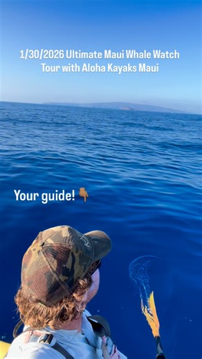 Meet your guide!! Griff has been guiding kayak whale watch tours on Maui for over 20 years. In that time over 1000 5-star reviews have been written. . If you want to stay away from the crowds, learn a ton of information about Hawaii and all that encompasses it then look no further. . Book the ORIGINAL Ultimate Maui Whale Watch Snorkel tour at AlohaKayaksMaui.com or call 808-270-3318. . #alohakayaksmaui #maui #whalewatchmaui #mauiwhalewatching #kayakmaui | Aloha Kayaks Maui
