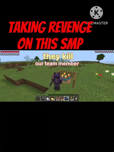 taking revenge on this smp