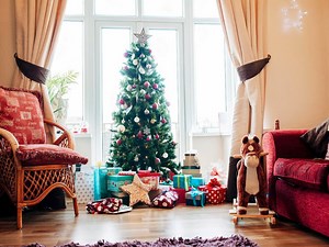 How To Care For Your Christmas Tree  - Bunnings Australia