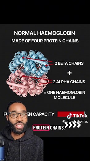 Understanding Sickle Cell and Thalassemia Types