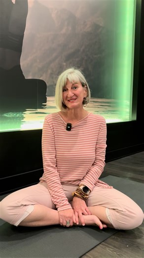 46 reactions · 4 comments | Des cours de yoga sont maintenant offerts à même le complexe du 7 Sens!律‍♀️ Avec Lily, détendez-vous et pratiquez vos étirements chaque mercredi matin, sans avoir à sortir de chez vous. #7senscondoslocatifscitémirabel #yoga #zen #condomirabel #citémirabel #7sens #location #condoneuf #mirabel | 7 Sens Condos Locatifs Cité Mirabel | Facebook