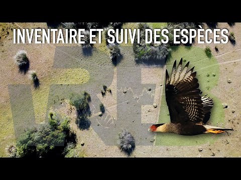 Inventaire et suivi des espèces