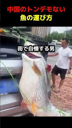 🐟🚗中国のトンデモない 魚の運び方