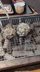 “牡蠣のまち”広島・宮島口へ 冬の広島名物といえば、ぷりっぷりの「牡蠣」。 宮島の向かい・宮島口にある島田水産の「かき小屋」では、 殻付きのまま豪快に網焼きで味わえる、冬だけのお楽しみが待っています。 ＿＿＿＿＿＿＿＿＿＿＿＿＿＿＿＿＿＿＿＿＿＿＿＿ 海沿いで味わう「島田水産 かき小屋」 JR宮島口駅から徒歩約10分。 海沿いに立つ「かき小屋」では、 目の前に宮島の絶景が広がる特別なロケーション。 瀬戸内海の栄養で育った広島牡蠣は、 身がふっくら・濃厚クリーミーで格別！ 殻ごと網にのせて焼き上がる香りに、 思わず食欲が止まりません。 焼き牡蠣のほかにも、 カキフライ・牡蠣飯・すまし汁が付く「かき尽くし定食」、 市場直送の魚介を堪能できる海鮮丼、 さらに牡蠣が丸ごと入ったオリジナルメニュー「かきグラマン」など、 魅力の品々が勢ぞろい！ 海上テラス席で、潮風と牡蠣を味わう贅沢時間 店内はもちろん、海に面したテラス席でも網焼きが可能。 まるで牡蠣筏の上にいるような開放感の中、 冬の味覚を堪能できます。 旬は2月〜3月。 広島が誇る冬の味を、ぜひ現地で！🦪🌊 詳しくは、https://ww