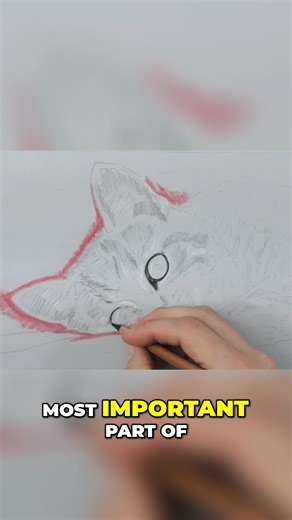 Jason Morgan Wildlife Art on Reels