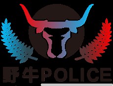 緊急時刻打110、119，但如果沒訊號怎麼辦?直接撥打112! – 野牛