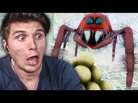 Der SPINNEN Simulator