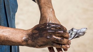 27K views · 213 reactions | Oil samples can help you avoid expensive equipment repairs, but only if the signals are clear. In this edition of CCJs 10-44, Chevron’s Shelly Eckert shares the simple steps that will make your samples count. https://bit.ly/4dlb04J | Chevron Delo | Facebook