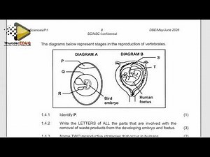 2026 MEMO LIFE SCIENCES PAPER 1, GRADE 12 MAY JUNE EXAMS [THUNDEREDUC] GRADE 12 LIFE SCIENCES P.1
