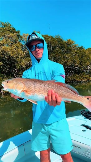 🔥Inshore bite is on Fire!!🔥