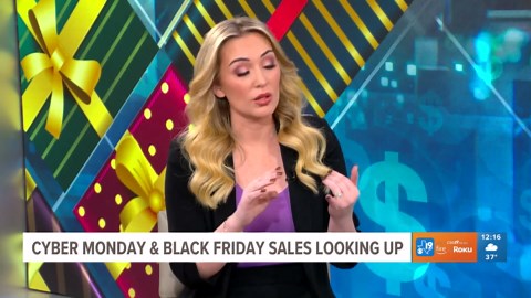 Black Friday, Cyber Monday sales seeing upward trends